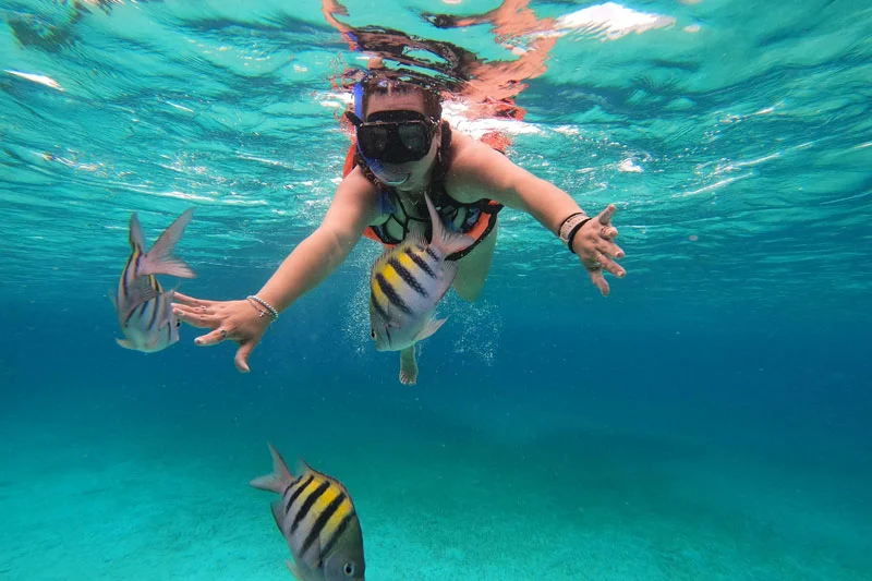 Snorkeling 