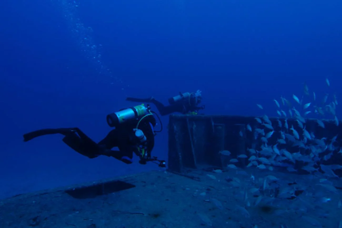 reef